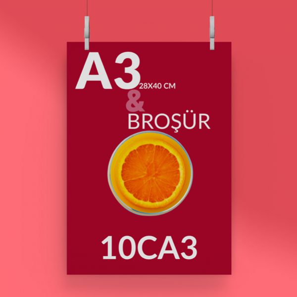 10CA3 – Broşür