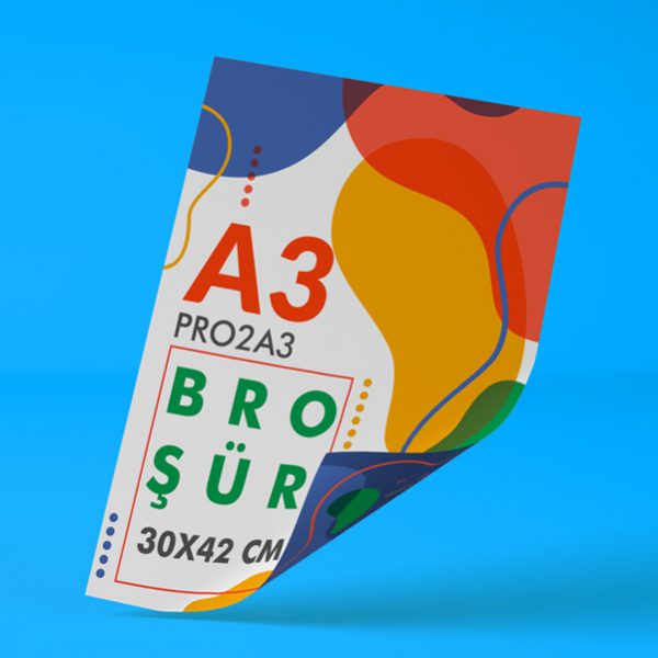 PRO2A3 – Broşür
