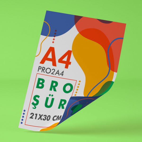 PRO2A4 – Broşür